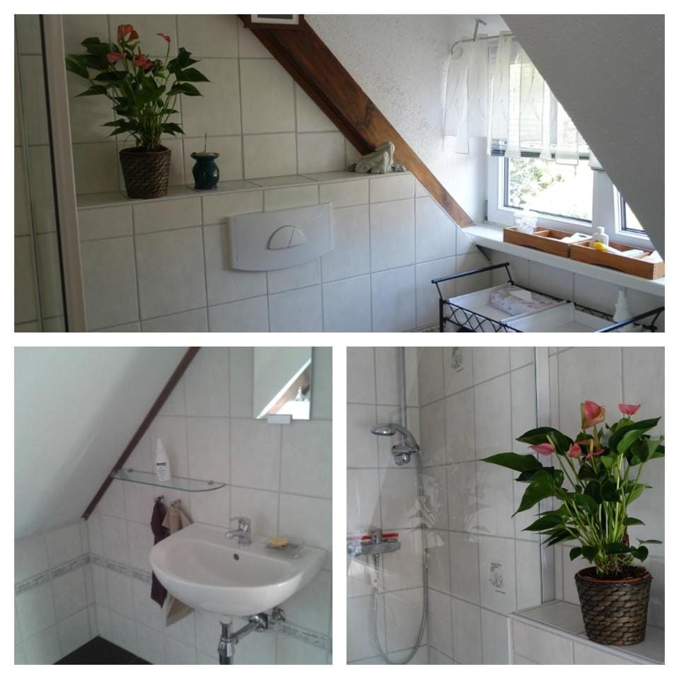 Shower, Bathroom, towels
