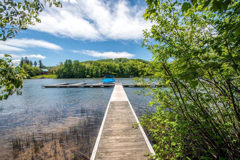 Natural landscape, Garden, Lake view
