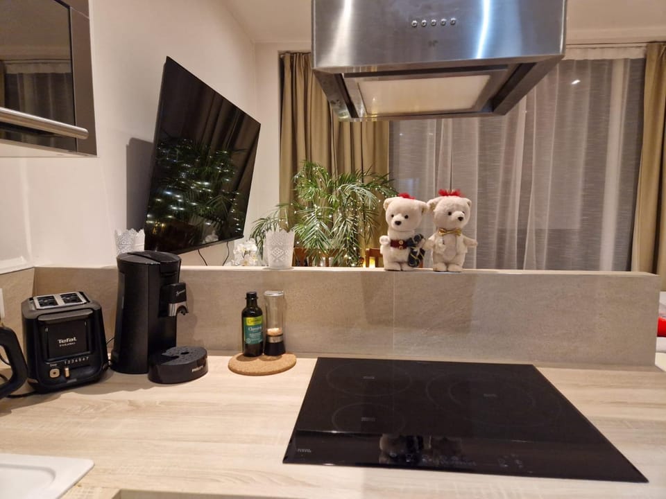Living room, kitchen