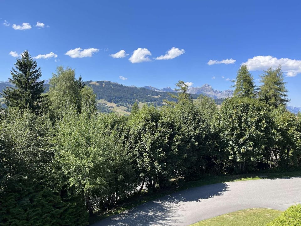 Charmant 2 pièces, 4 couchages, Megève - À 400m des remontées mécaniques, balcon et parking inclus - FR-1-597-169 Apartment in Megève