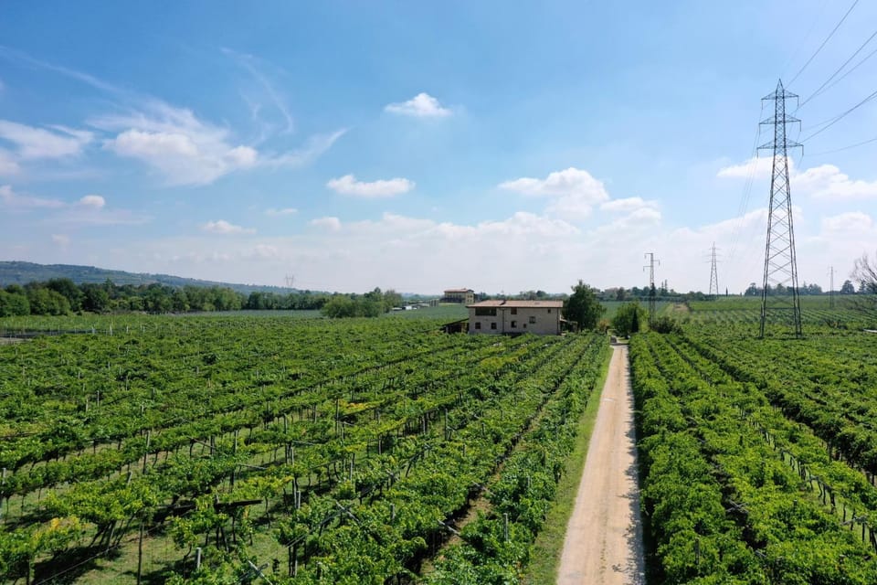 Day, Natural landscape, Garden, Garden view