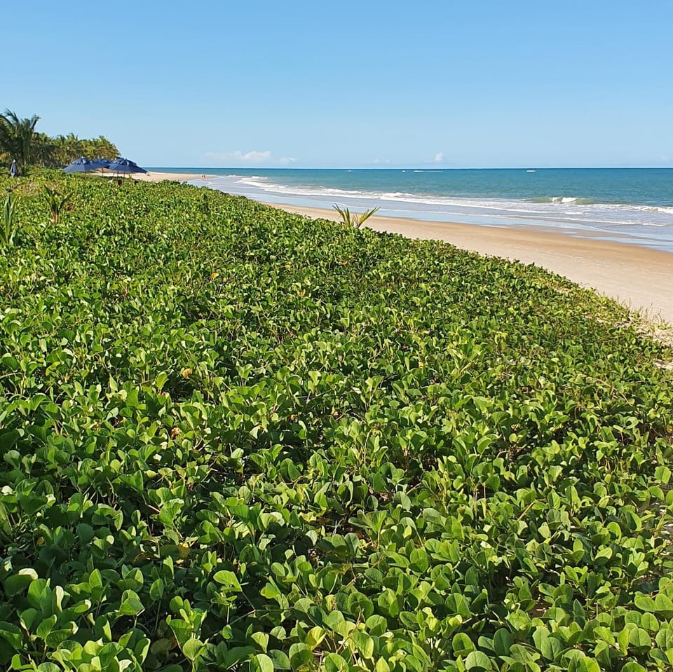 Trancoso Terravista Villa Floresta Villa in State of Bahia