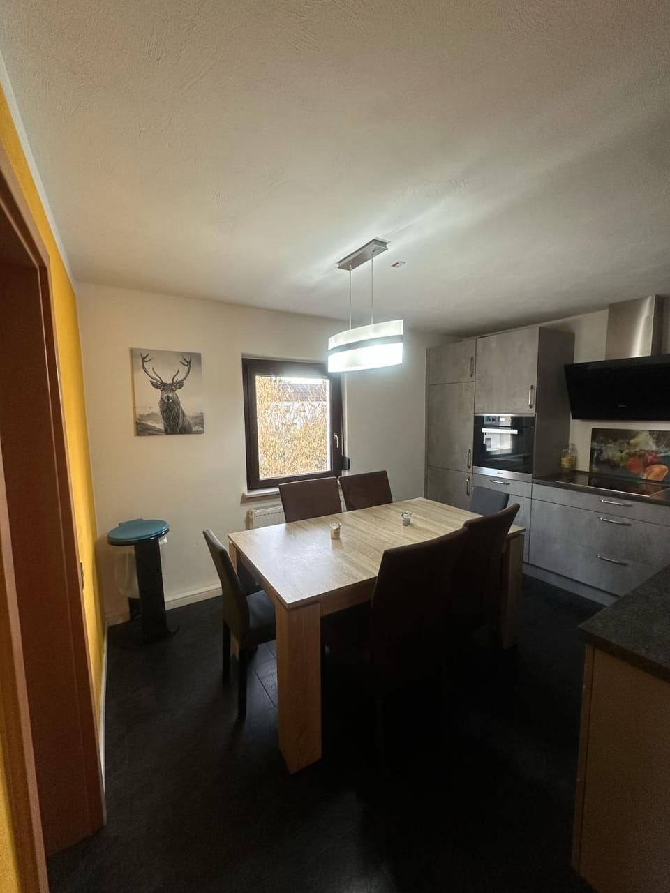 Kitchen or kitchenette, kitchen