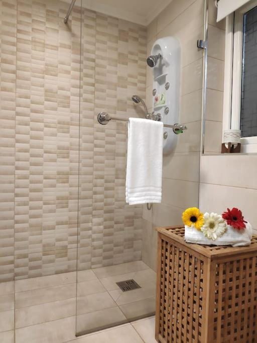 Cheerful 3 bedroom town house with garage free parking inside or outside with back yard and roof House in Sliema