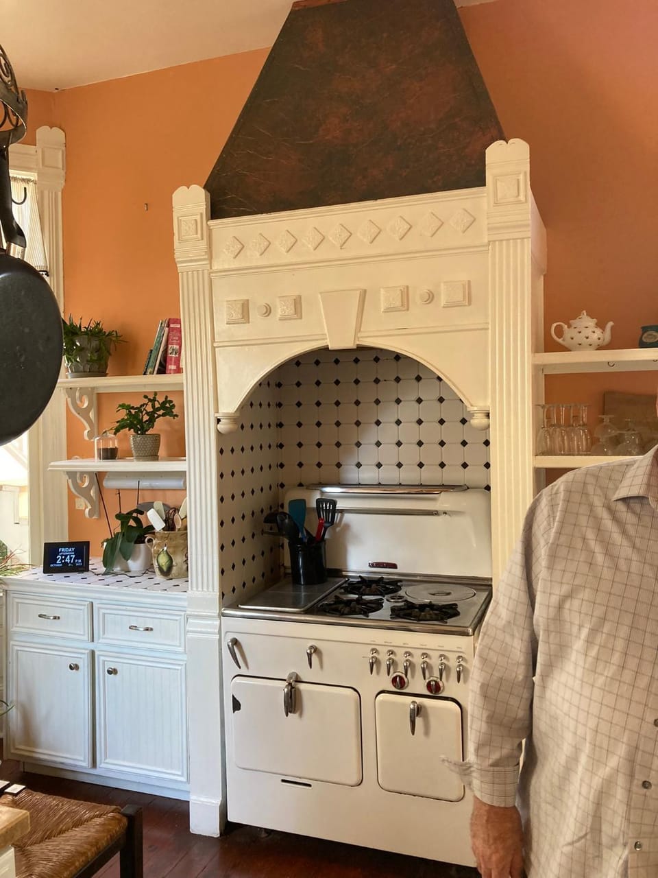 dishwasher, minibar, pet friendly, stove