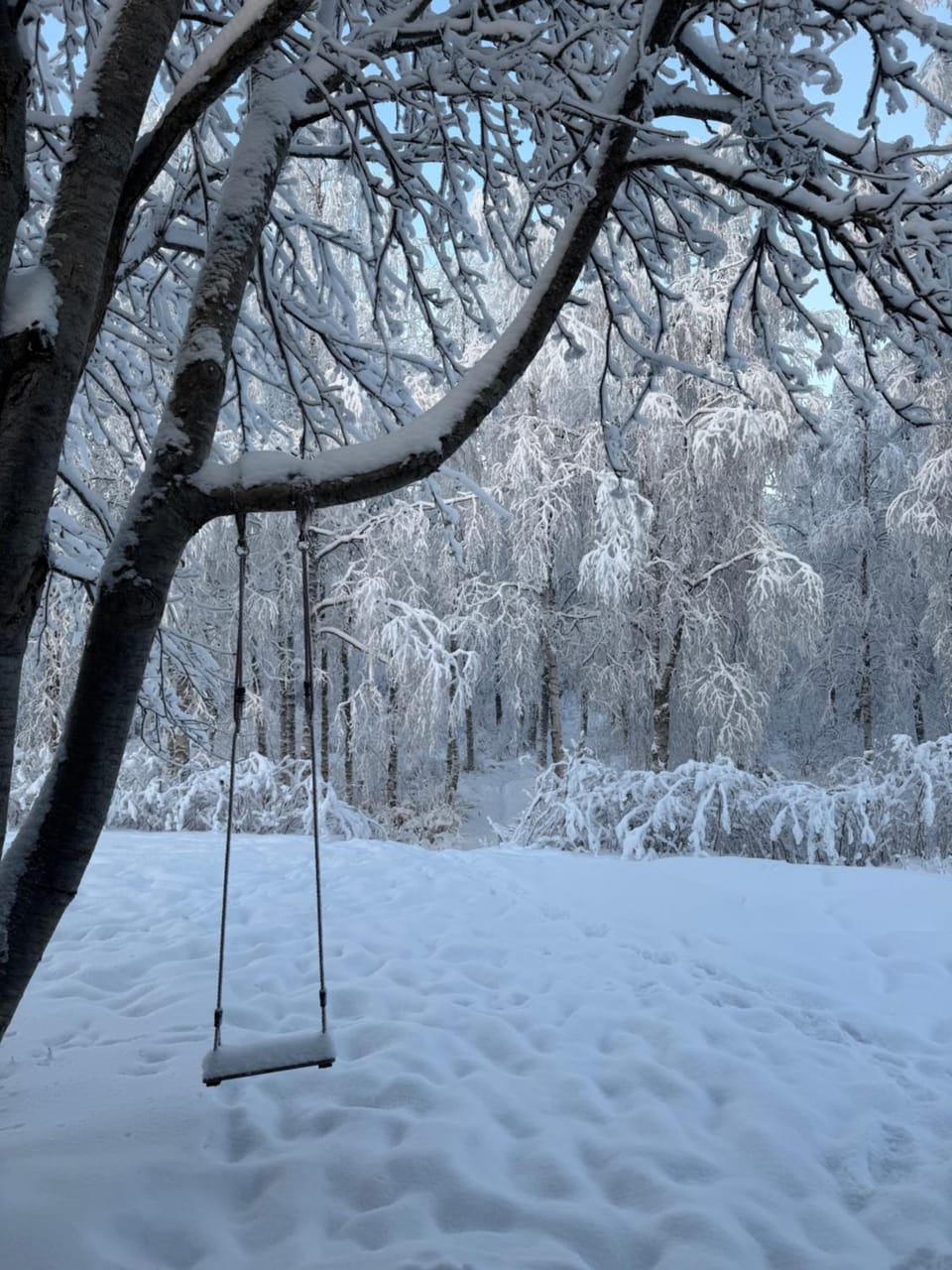 Day, Natural landscape, Winter