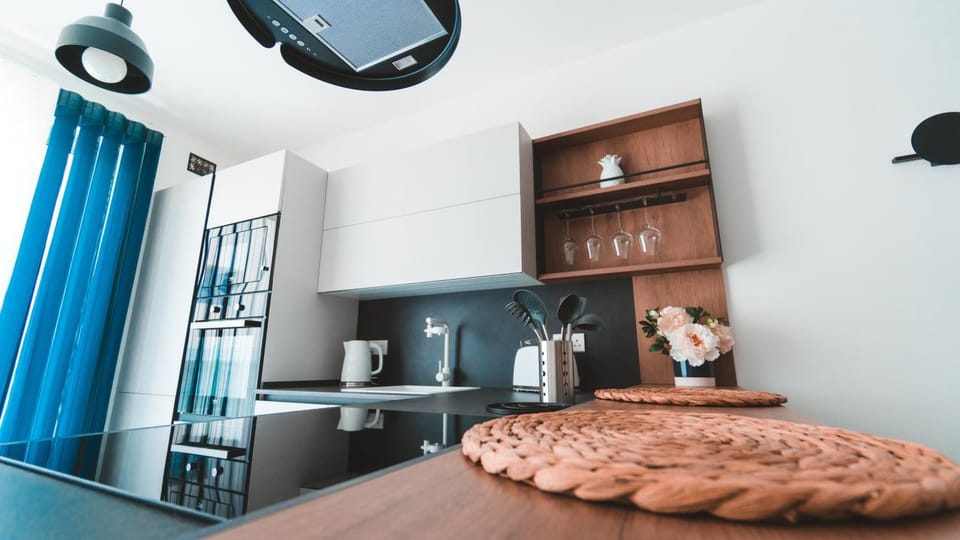 Kitchen or kitchenette, minibar, pet friendly, stove