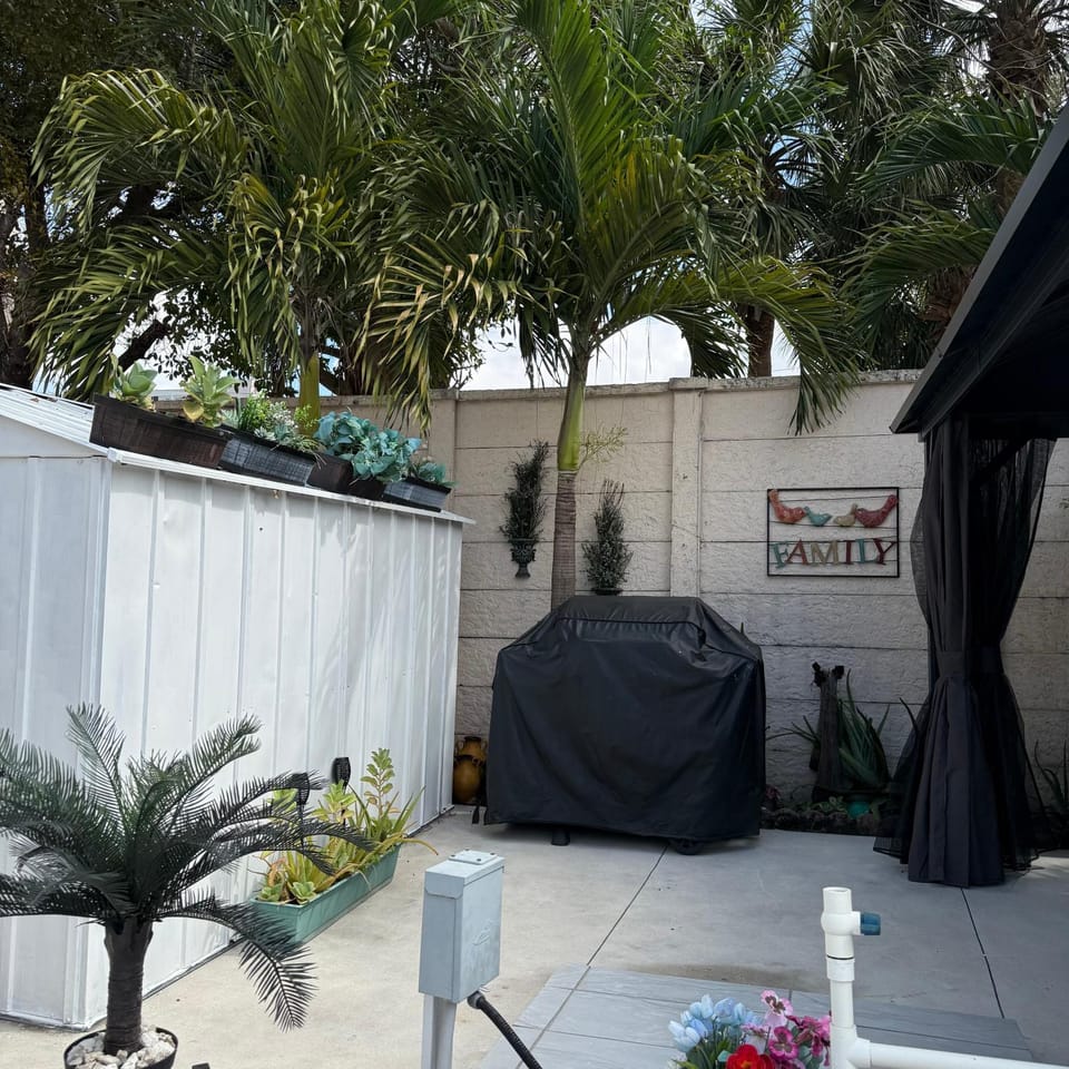 Patio, Day