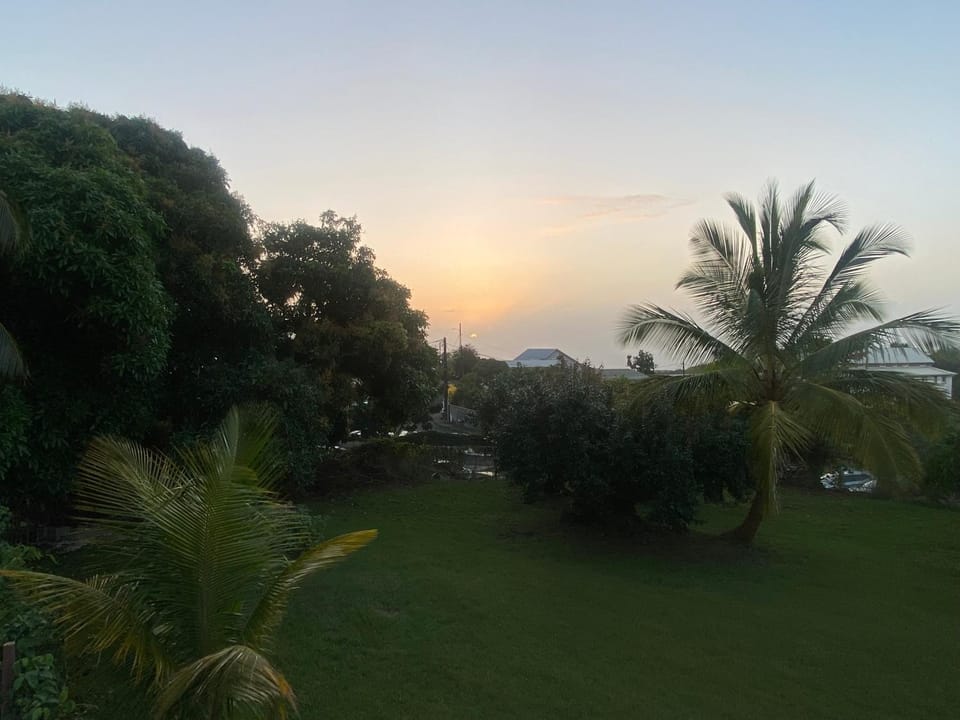 Garden view