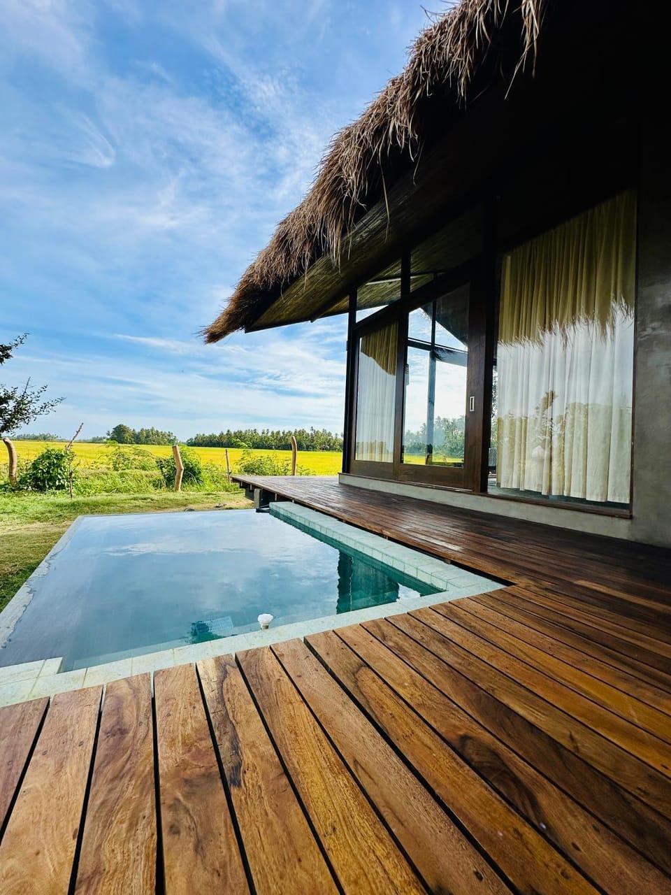 Day, Natural landscape, Pool view, Swimming pool, sunbed