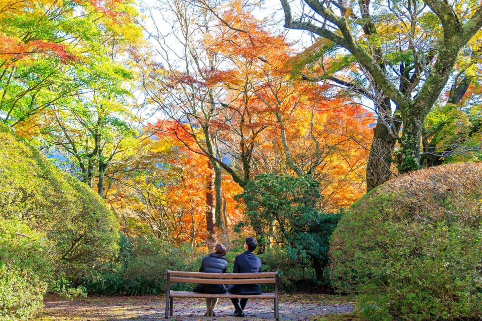 Nearby landmark, Natural landscape, Garden, Garden