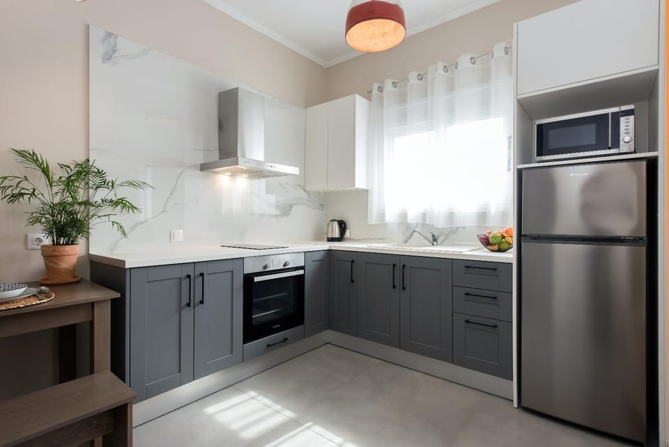 Coffee/tea facilities, Kitchen or kitchenette, minibar, pet friendly, stove, kitchen