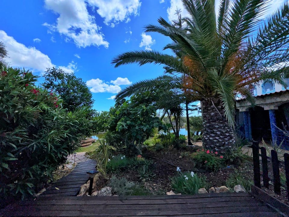 Natural landscape, Garden, Garden view