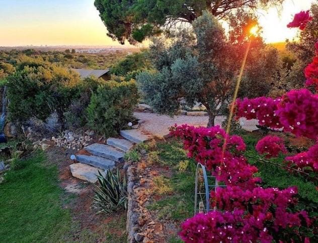 Oasis Camp Portugal Luxury tent in Lagoa