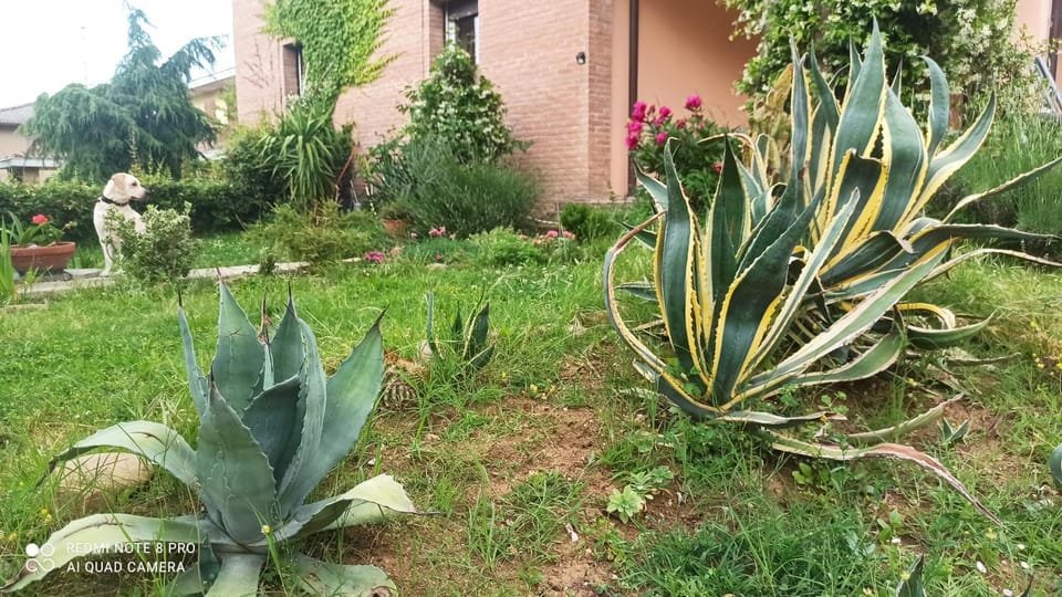 Casa VINCENZO 130 mq con portico ed ingresso esclusivo dal giardino House in Emilia-Romagna