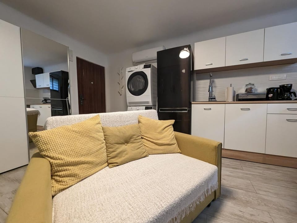Kitchen or kitchenette, Living room, Seating area, dishwasher, minibar, oven, pet friendly, stove, washing machine, dryer