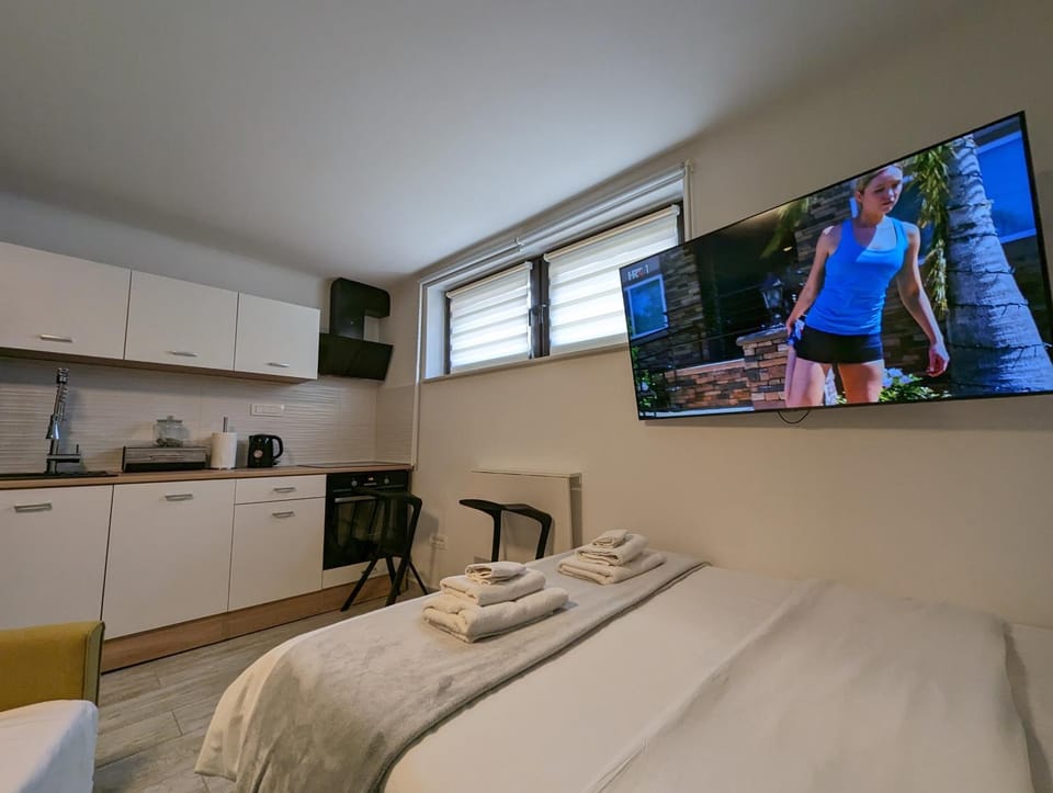 Communal lounge/ TV room, Bed, TV and multimedia, Kitchen or kitchenette, Photo of the whole room, Evening entertainment, Bedroom, minibar