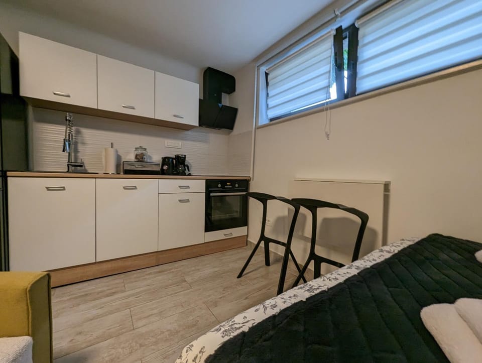 Kitchen or kitchenette, Living room, Seating area, Dining area, minibar, oven, pet friendly, stove