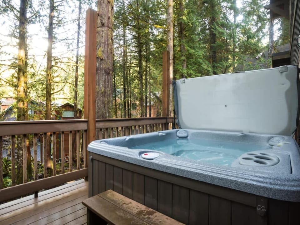Avventura Chalet House in Glacier
