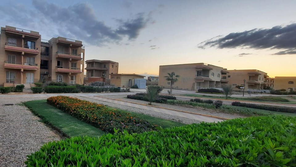 Natural landscape, Garden, Garden