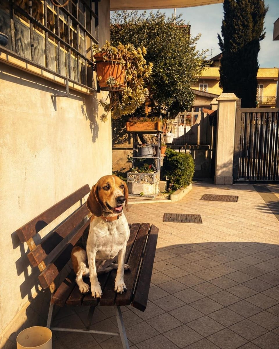 Delizioso appartamento in villa tra mare e città Apartment in Rome