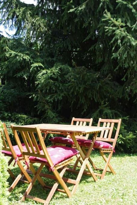 at foot of Mont Blanc studio 2 p Apartment in Haute-Savoie