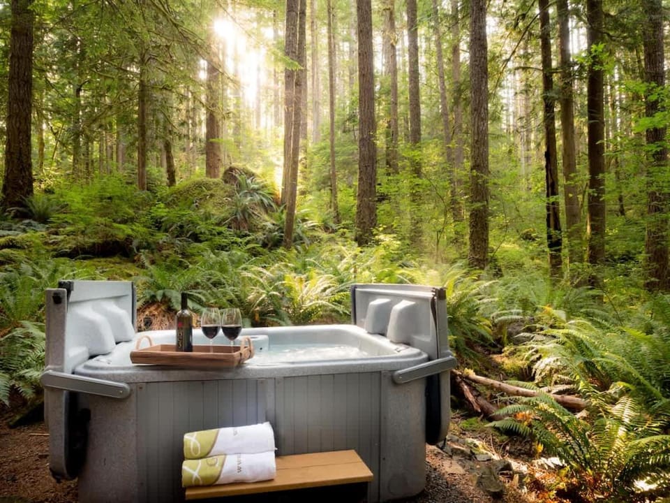 Treetop Hideaway, Sleeps 2 House in Glacier