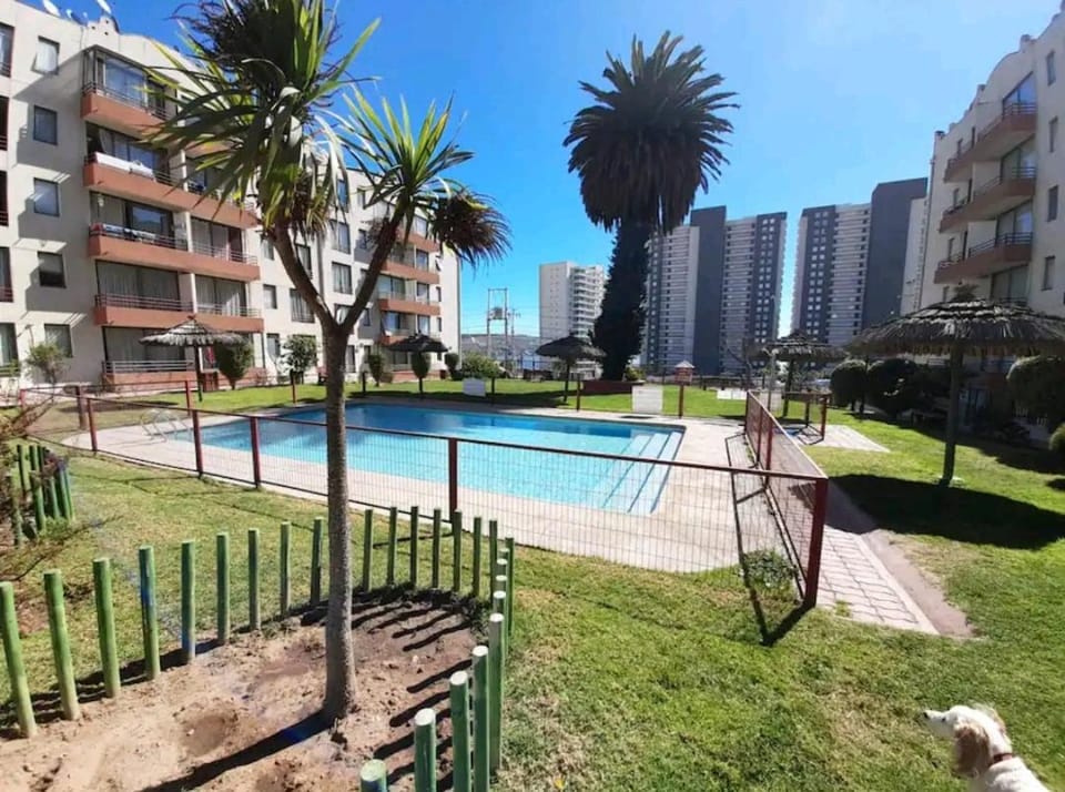 Garden, Garden view, Swimming pool