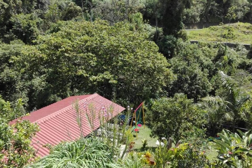 Backyard loft in the heart of the forest Apartment in Quindio, Colombia