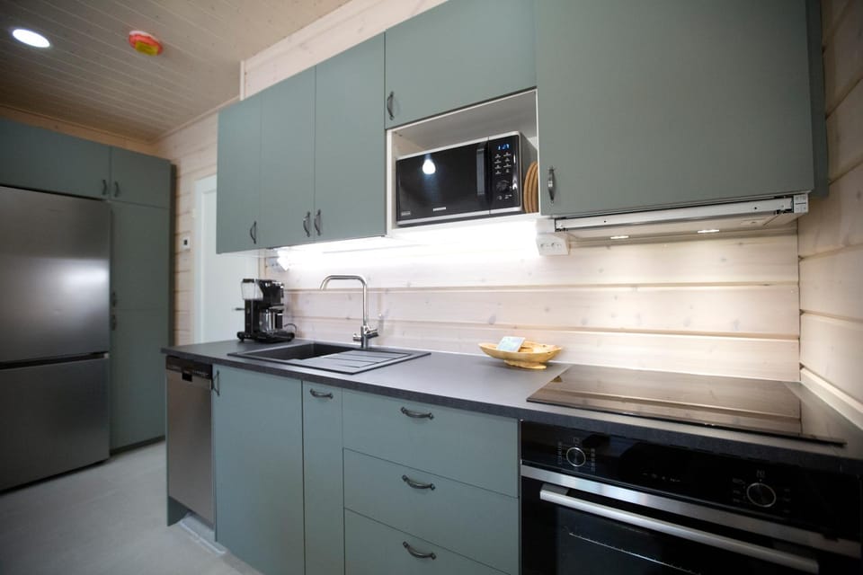 Kitchen or kitchenette, dishwasher, minibar, pet friendly, stove