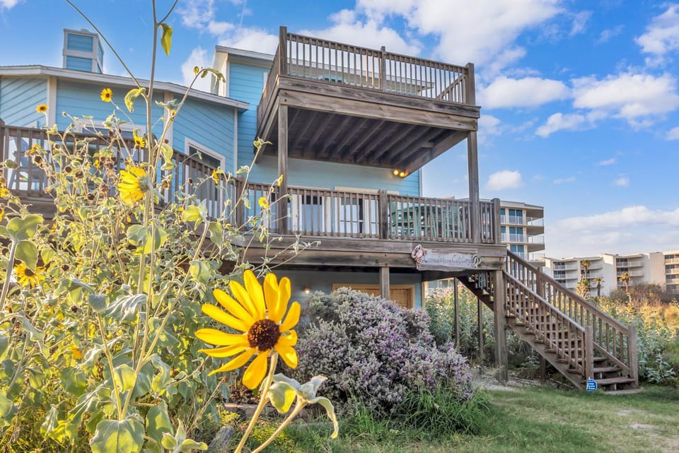 Property building, Garden, Balcony/Terrace