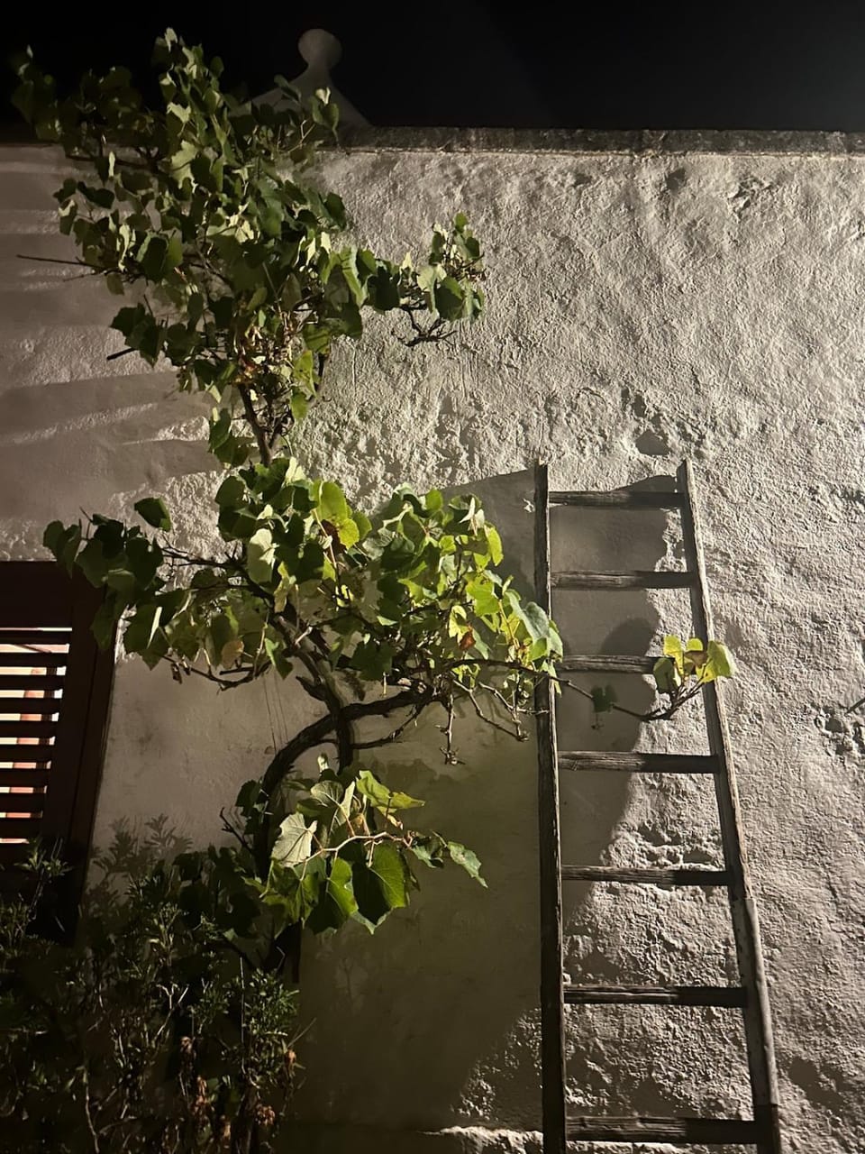 Trullo dei loti Villa in Province of Taranto