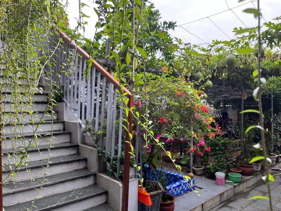 Day, Garden, Garden view