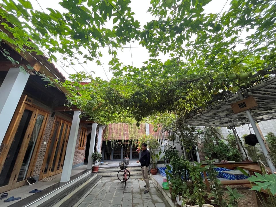 Property building, Day, Garden, Garden view