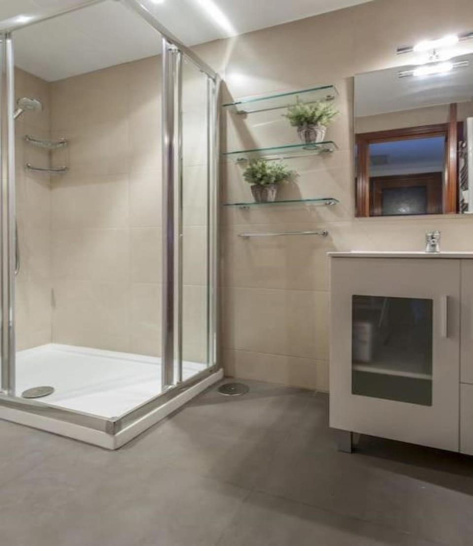 Shower, Toilet, Bathroom, hair dresser