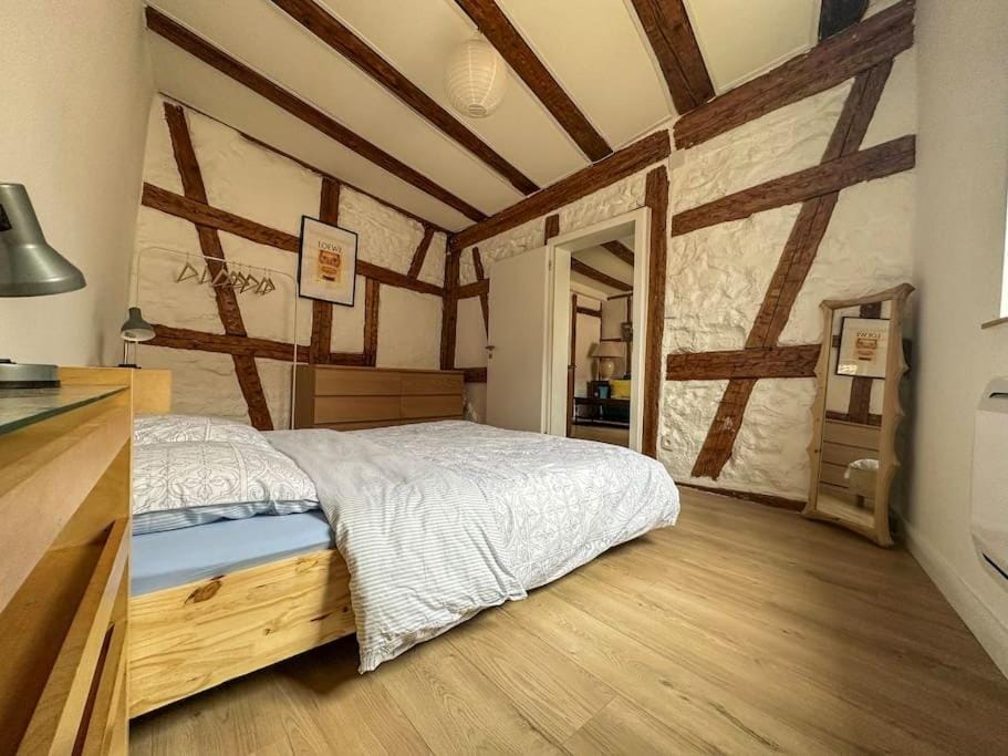 Le Colombage Heureux Apartment in Sélestat