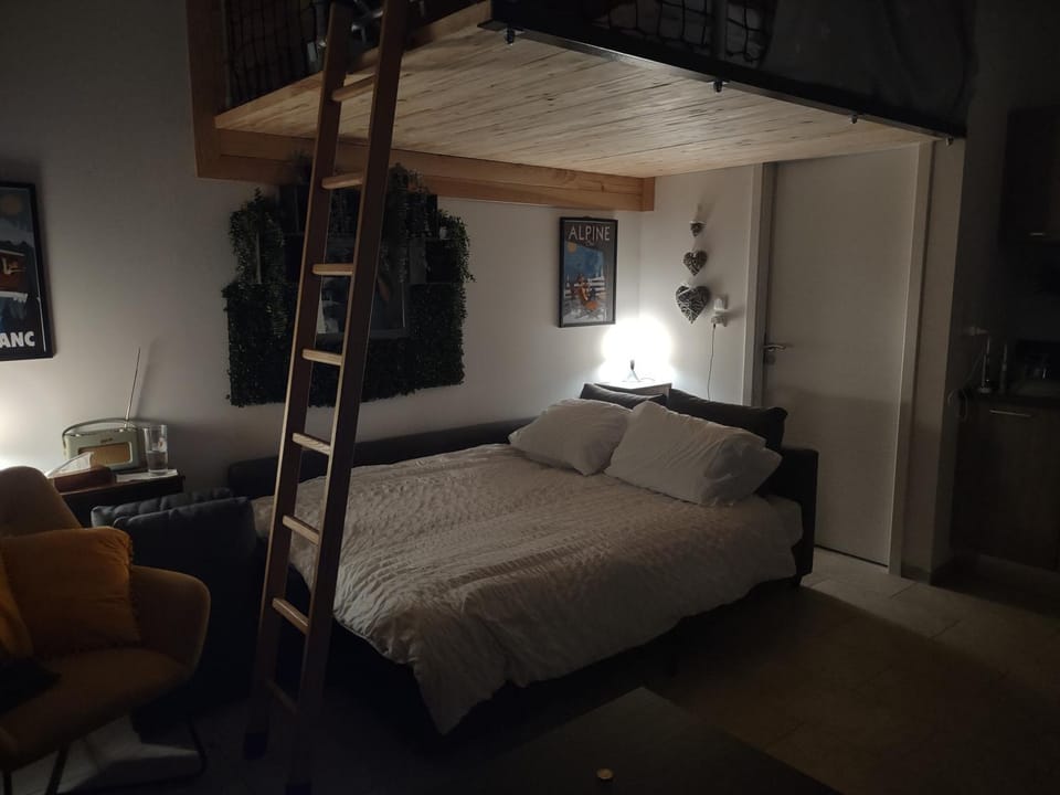 Roomy studio near town and ski lift, free WiFi and parking Apartment in Saint-Gervais-Bains
