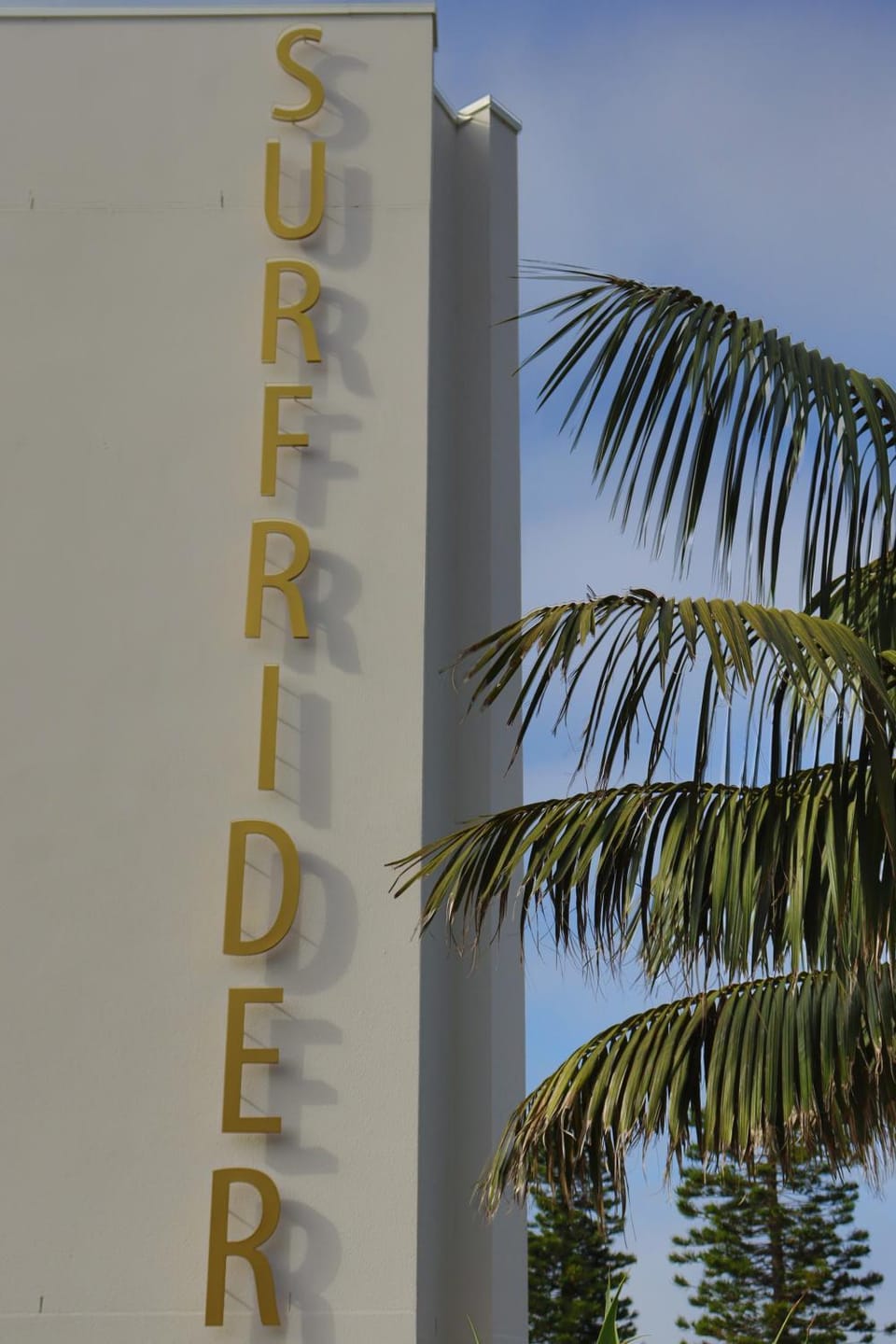 Dee Why Beach - Surfrider Studio 8 Apartment in Sydney