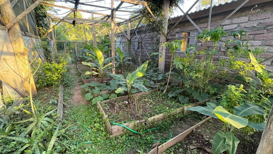 Instituto Bugio Ruivo Nature lodge in State of Rio Grande do Sul