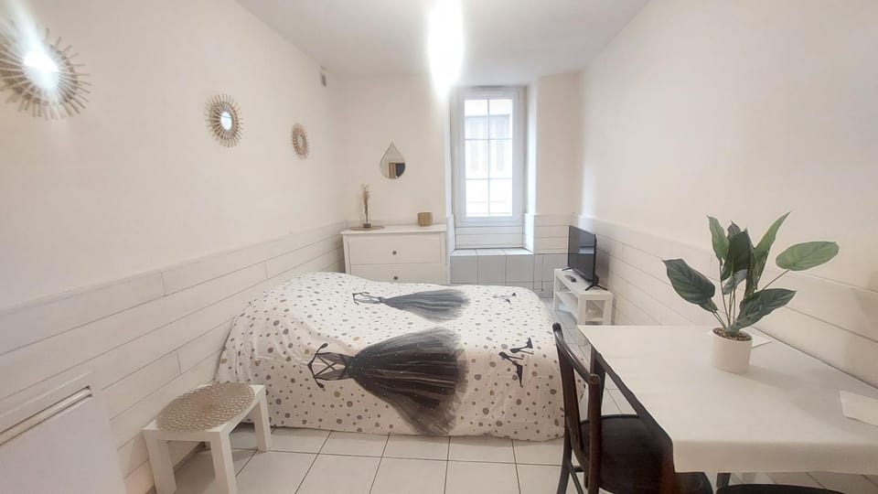 STUDIO MEUBLÉ AU PIED DU CHATEAU Apartment in Lourdes