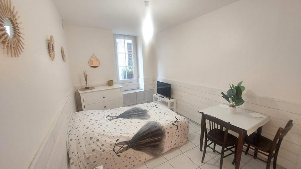 STUDIO MEUBLÉ AU PIED DU CHATEAU Apartment in Lourdes