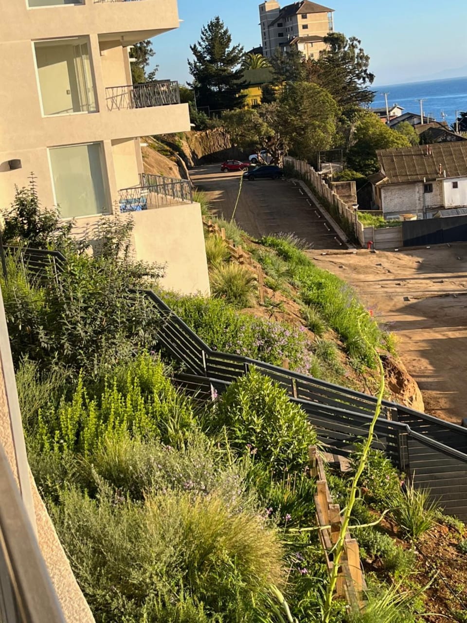 Garden view