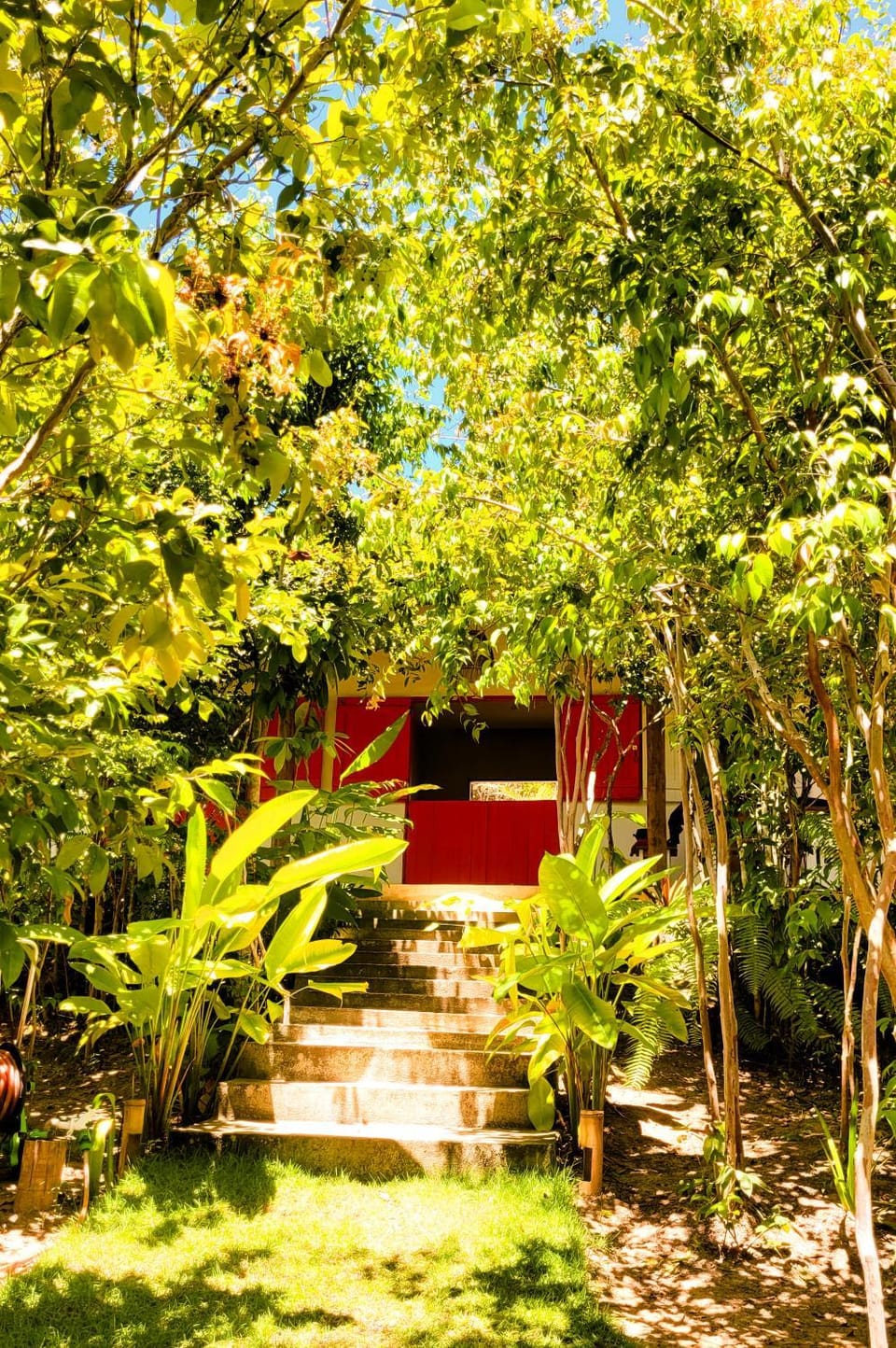 Garden, Garden view, Landmark view