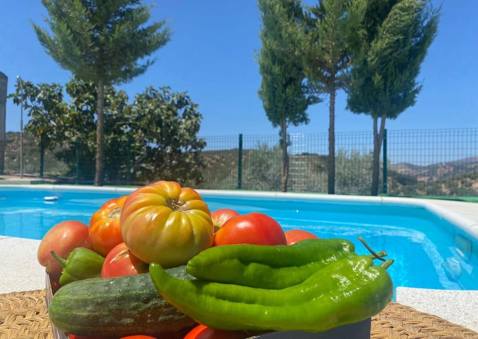 Cortijo El Nevazo House in Andalusia