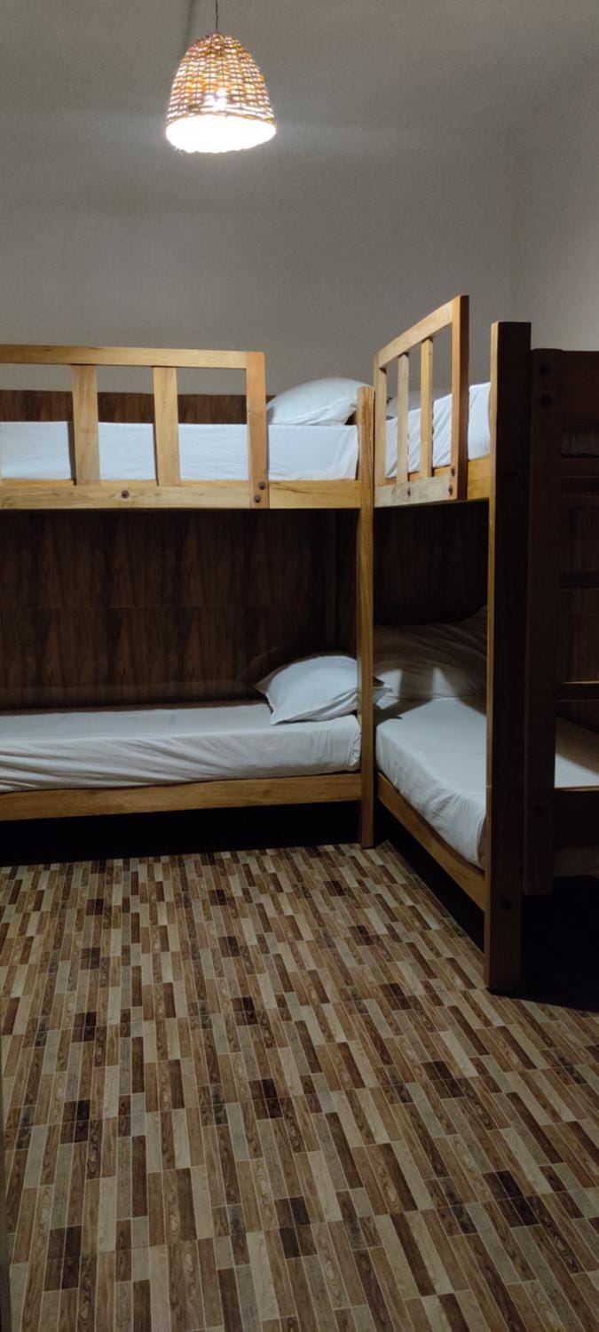 Bed, Photo of the whole room, bunk bed