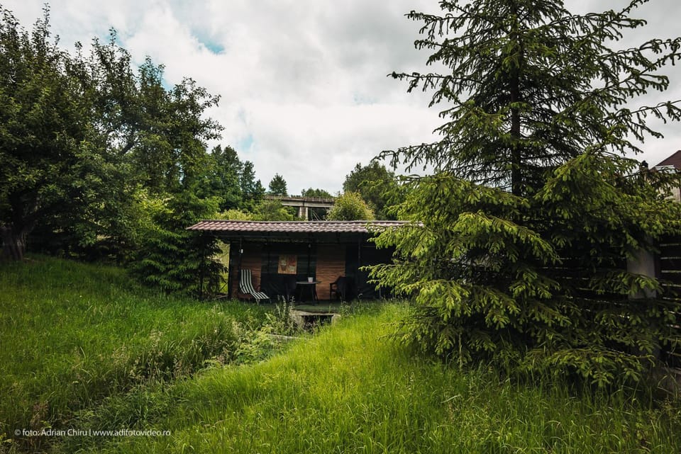 Natural landscape, BBQ facilities, Garden view