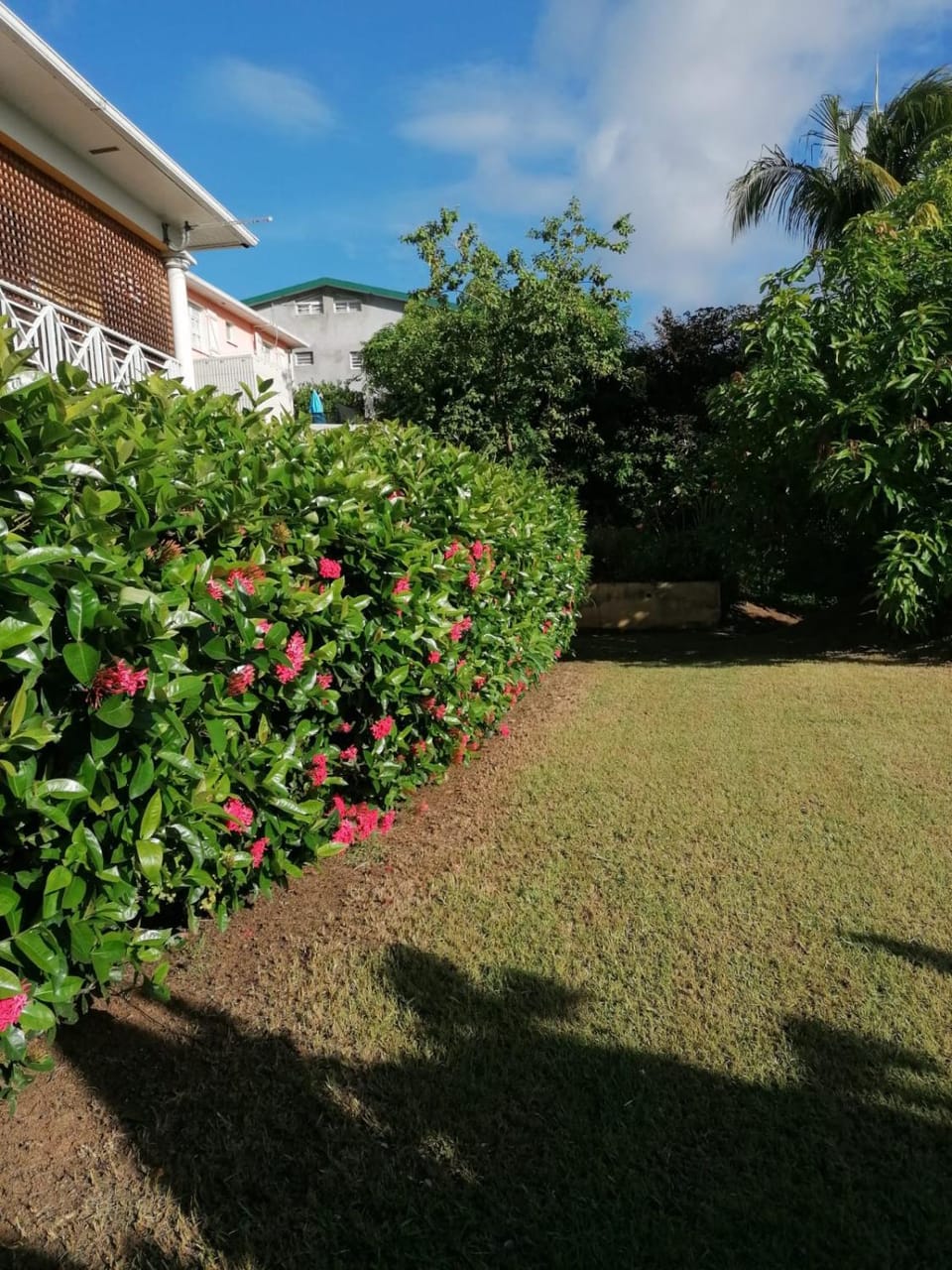Day, Garden, Garden view
