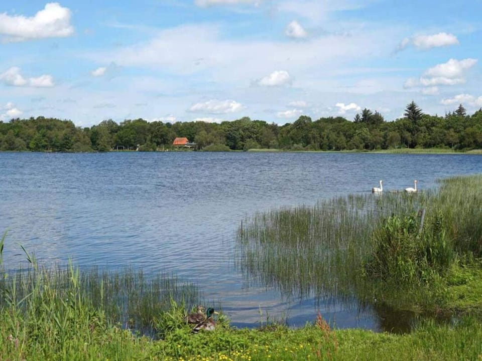 Lake view