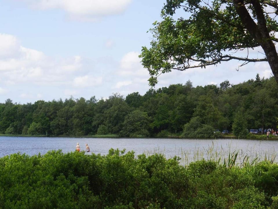 Lake view