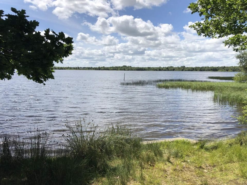 Lake view